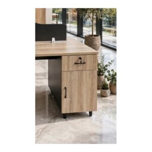 Workstation Desk with Privacy Divider